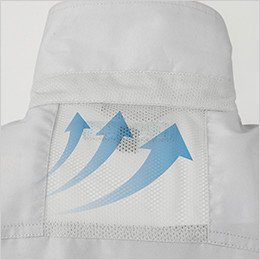 背中 メッシュ